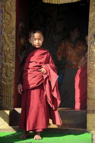 Monk in Waiting; Punakha Dzong, Thimphu, Bhutan Monk in Waiting; Punakha Dzong, Thimphu, Bhutan